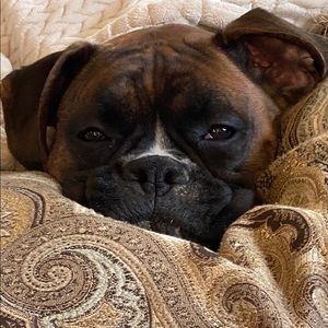 Meet your Posher, April